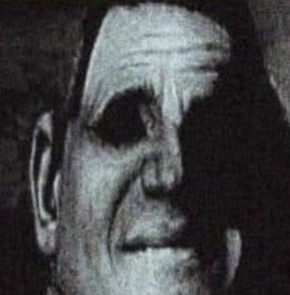 Nexø 🏂 tweet media