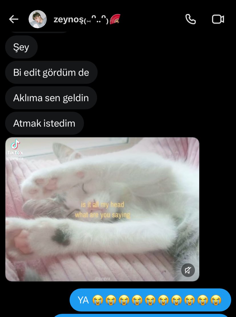 luviayz's tweet photo. agliom 🥺🥺 editi de aticam hemen cidden tam ben YERİM YA insanlarin aklina ben mi geliom 😭😭😭 https://t.co/StSw3DrFDH