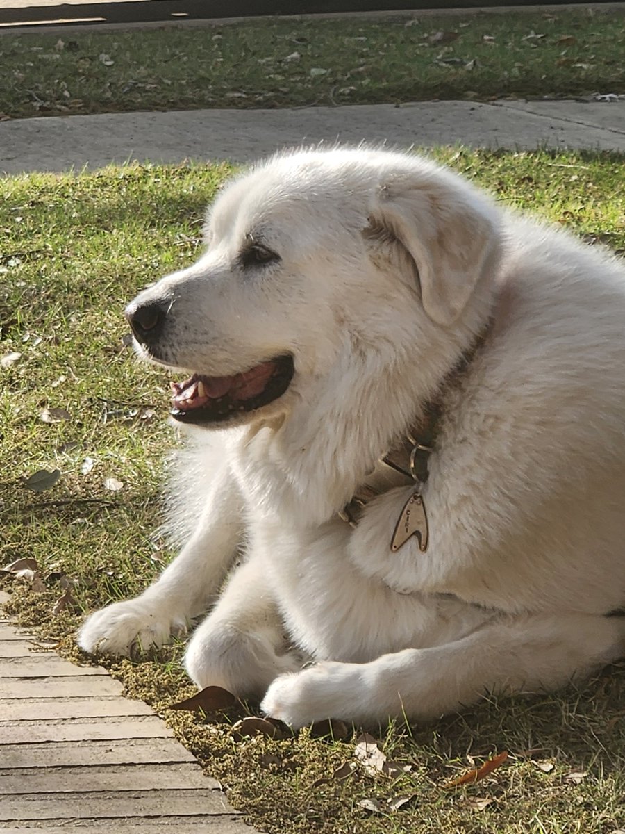 Amalgamated Sludge tweet media