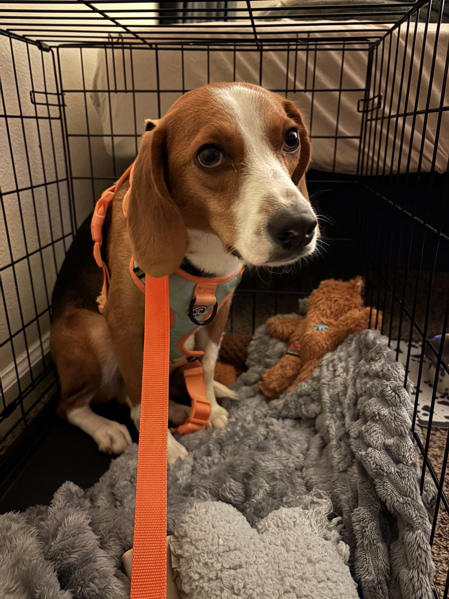 Kentucky Update tweet media