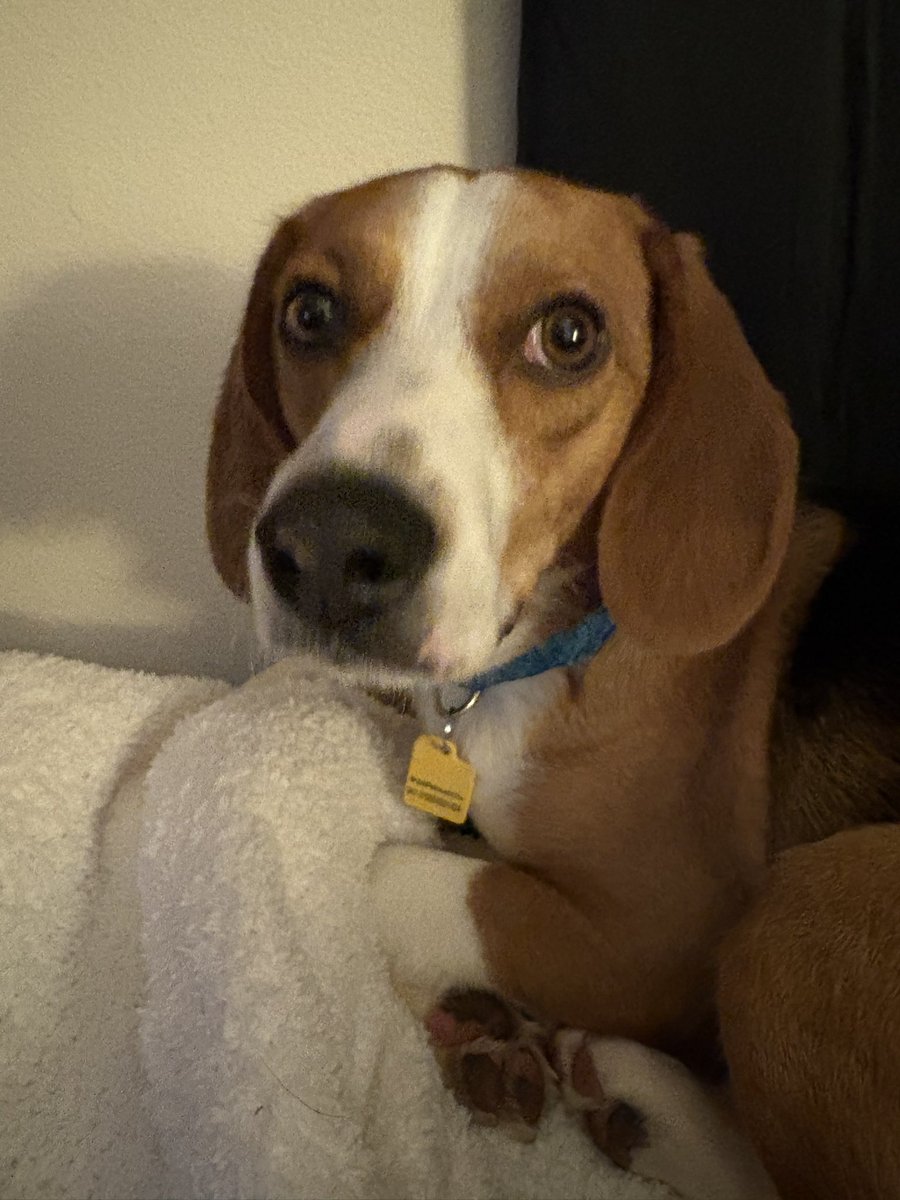 Kentucky Update tweet media