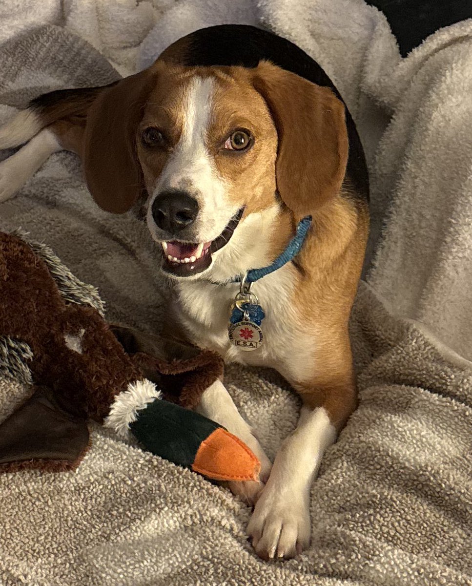 Kentucky Update tweet media