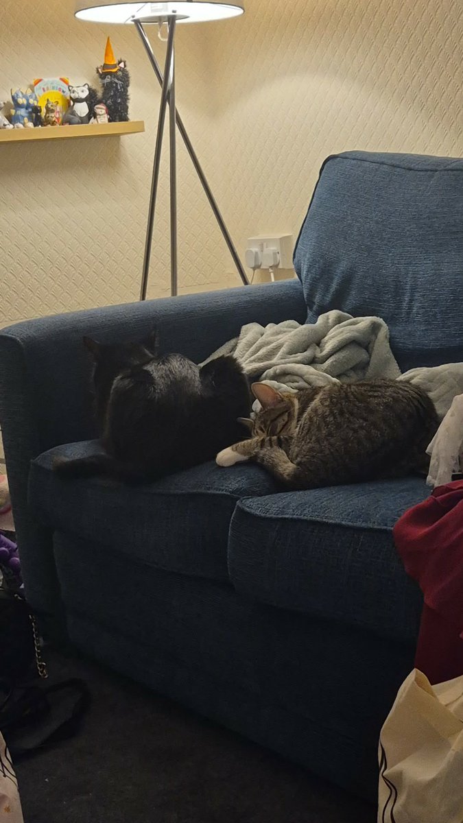 Chesty Mucus Cough Syrup 🇵🇸 Annie 🪽 tweet media