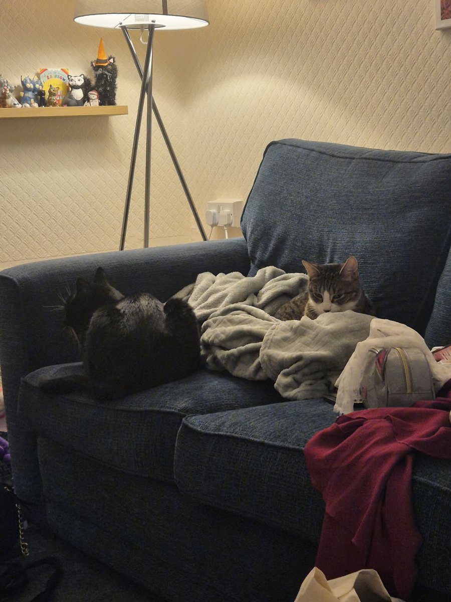 Chesty Mucus Cough Syrup 🇵🇸 Annie 🪽 tweet media