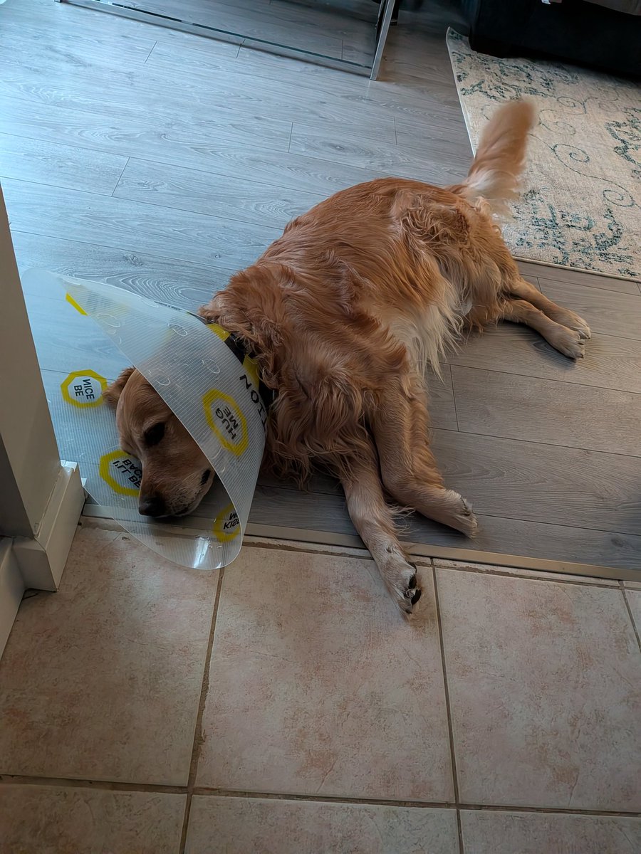 Scott Park tweet media