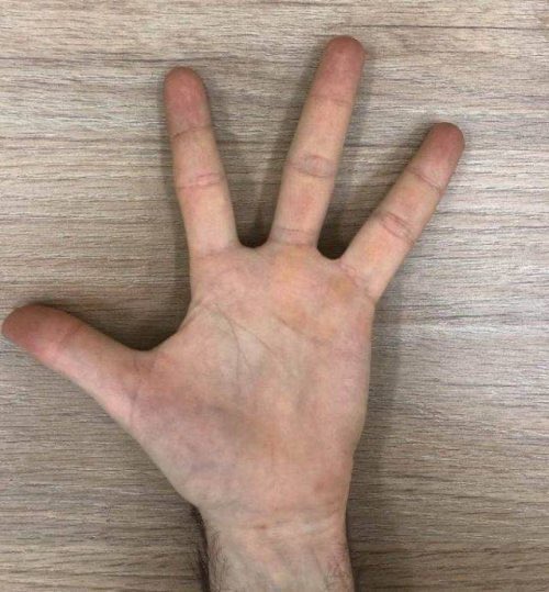 Naci Abuşka tweet media