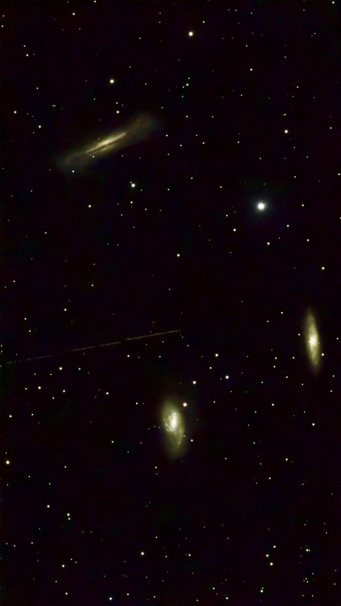 Matthijs de Vries 🧢 tweet media