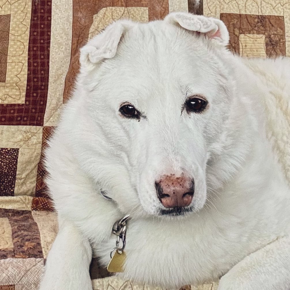 Sadie & Sophie ☀️ tweet media