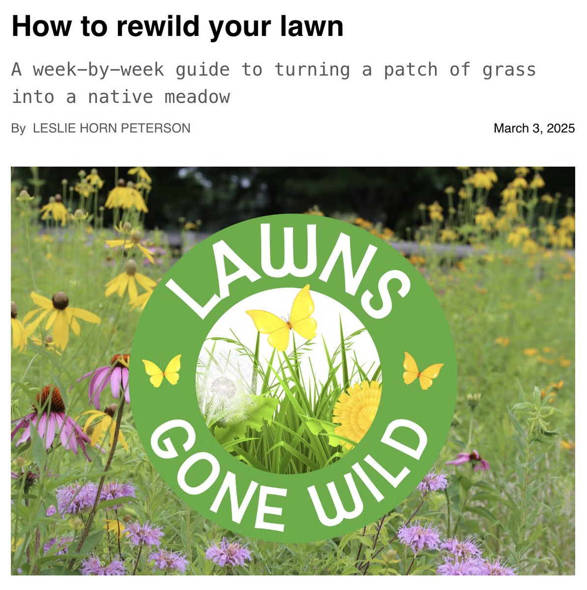 brainwise tweet media