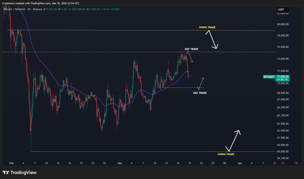 CrypNuevo 🔨 tweet media
