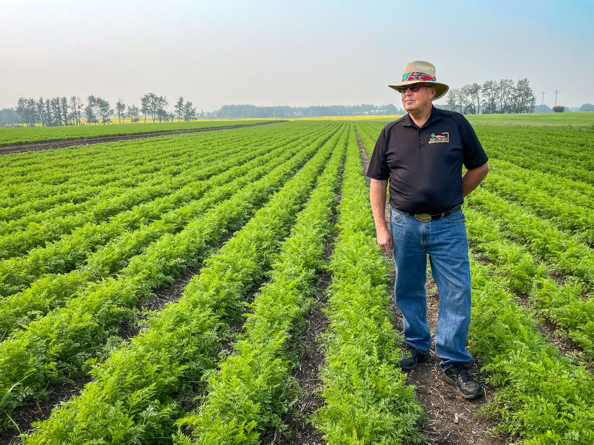 Alberta Agriculture and Irrigation tweet media