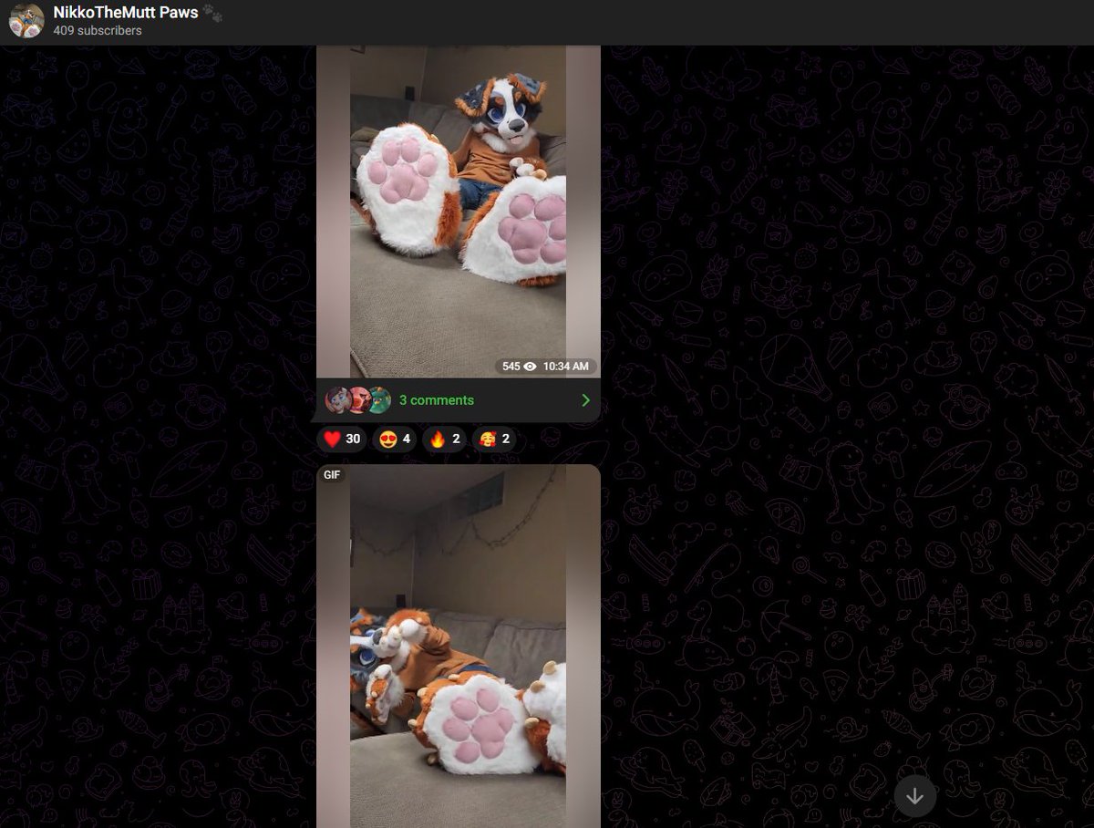 Cait🐙 tweet media