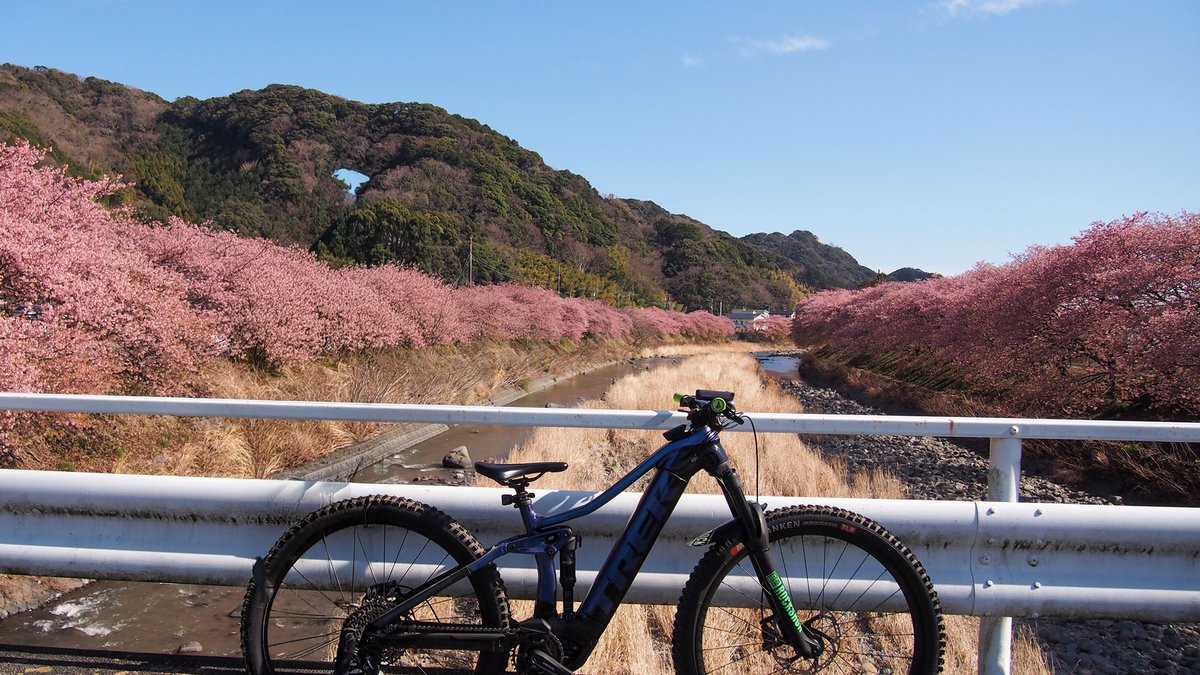 kaden_watch's tweet image. 早春の伊豆で満開の河津桜と冒険サイクリング! スバル「フォレスター」でe-bike旅が捗った - 家電 Watch kaden.watch.impress.co.jp/docs/topic/spe… #Sponsored #ebike #eMTB #forester