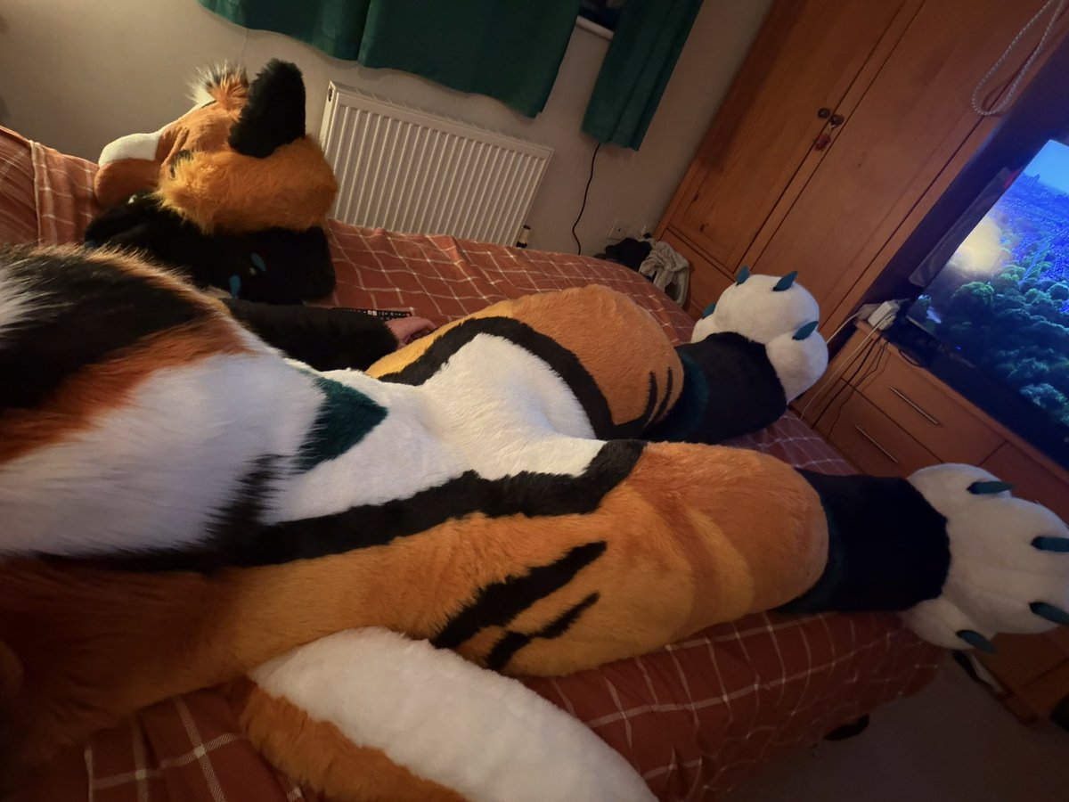 Cairo 🔜 ??? tweet media