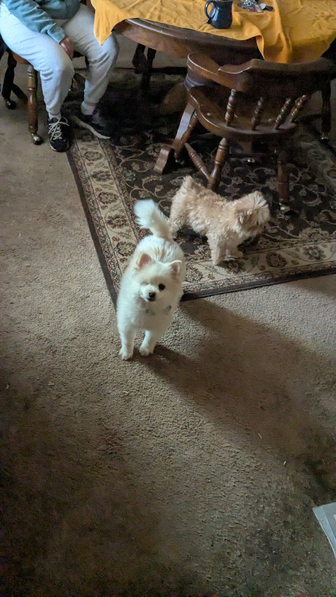 Joshua ✝️✝️ tweet media