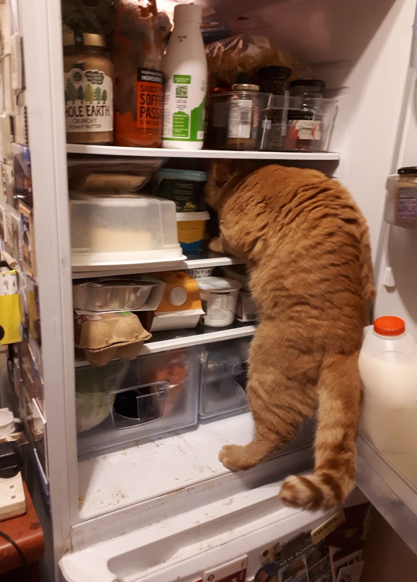 Richard Bratby tweet media