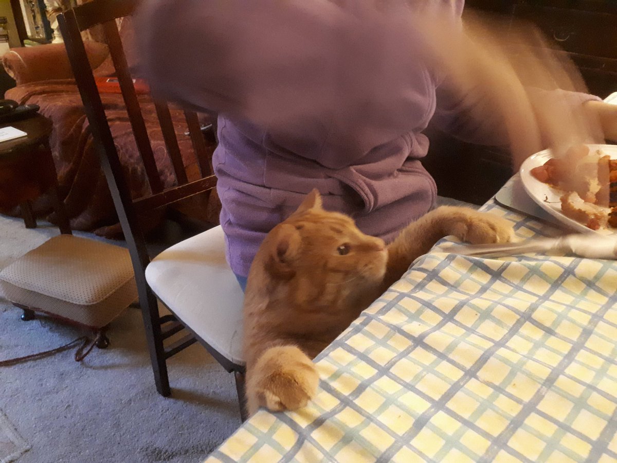 Richard Bratby tweet media