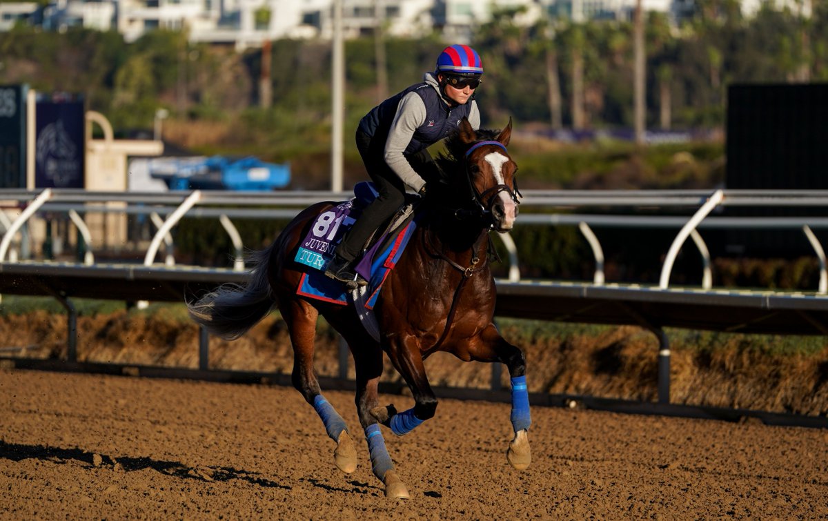 EclipseSports's tweet photo. The Jeff Ruby Steaks Stakes is an interesting race with lots of turf class invading for a shot a @kentuckyderby points. Argos and Stark Contrast are the only graded stakes winners in the field. Fulleffort and Turf Star also have some form and could be tough. Who's your choice? https://t.co/6pB0MjCZ8M