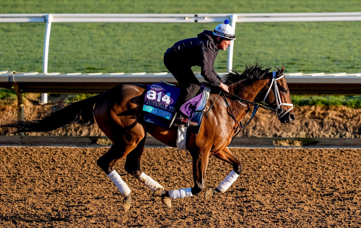 EclipseSports's tweet photo. The Jeff Ruby Steaks Stakes is an interesting race with lots of turf class invading for a shot a @kentuckyderby points. Argos and Stark Contrast are the only graded stakes winners in the field. Fulleffort and Turf Star also have some form and could be tough. Who's your choice? https://t.co/6pB0MjCZ8M