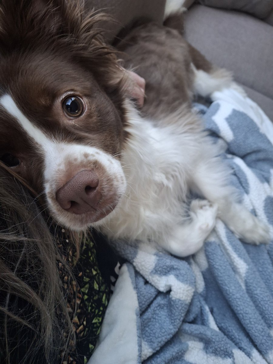 SandStoneArtz ! Vgen Open tweet media