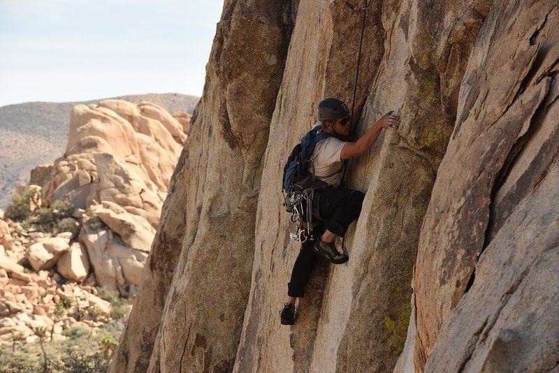 G. David Dodd tweet media