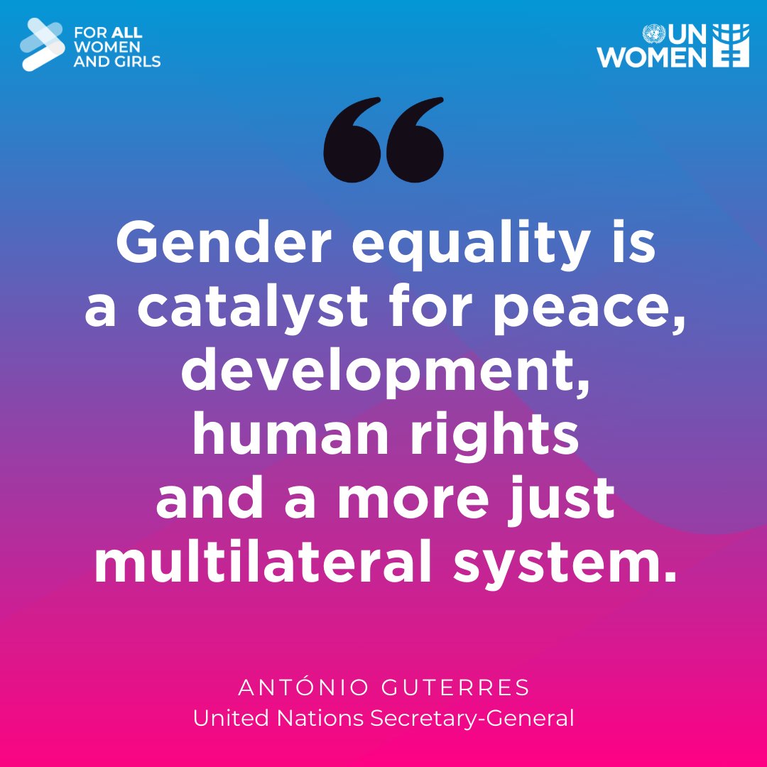 United Nations CSW tweet media