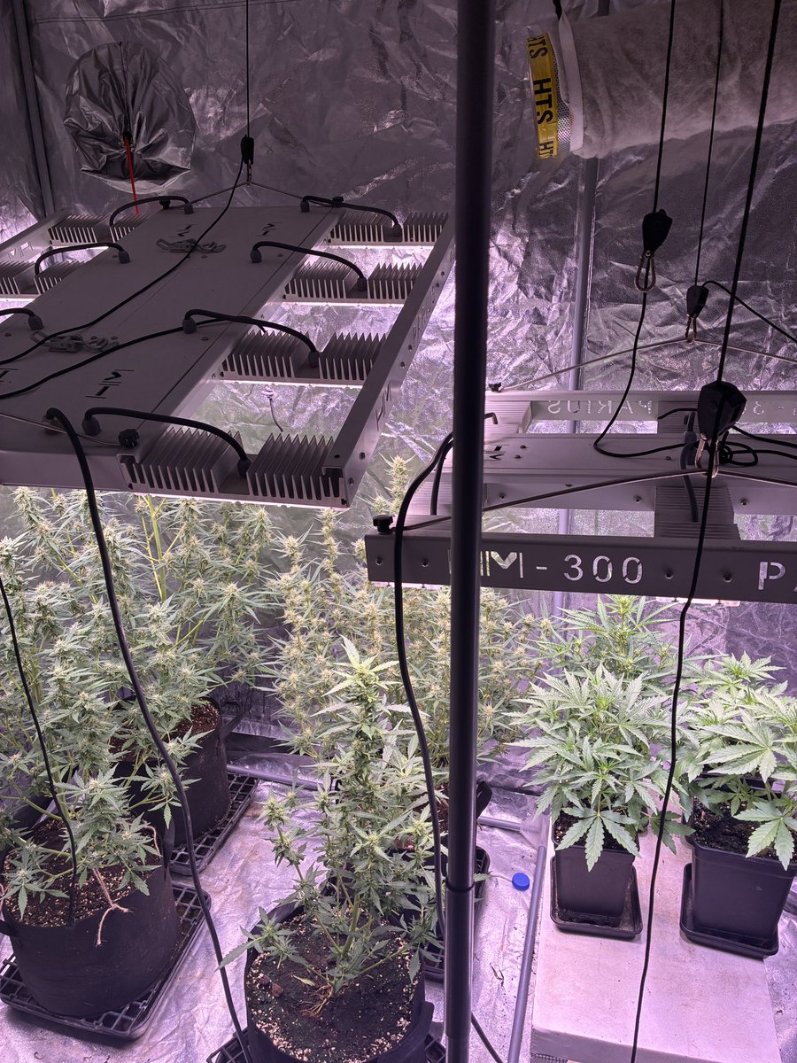 Mustafa İçeli tweet media