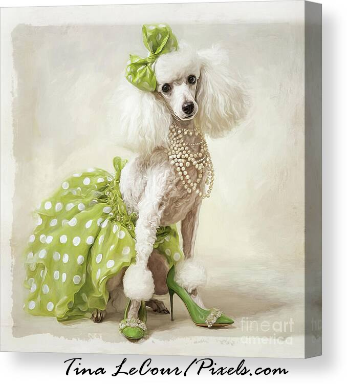 TinaLeCour's tweet image. Pearls And Polka Dots...Available here...tina-lecour.pixels.com/featured/pearl…

#poodle #dog #dogs #doglovers #animaloftheday #animals #animallover #fashionstyle #FashionDesign #homedecor #interiordecor #interiordesign #giftsforher #greetingcards #puzzle #puzzles #wallartforsale #art #arte