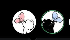 kat 𝜗ৎ tweet media