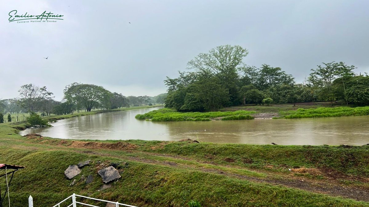 Emilio Contreras Martínez de Escobar tweet media