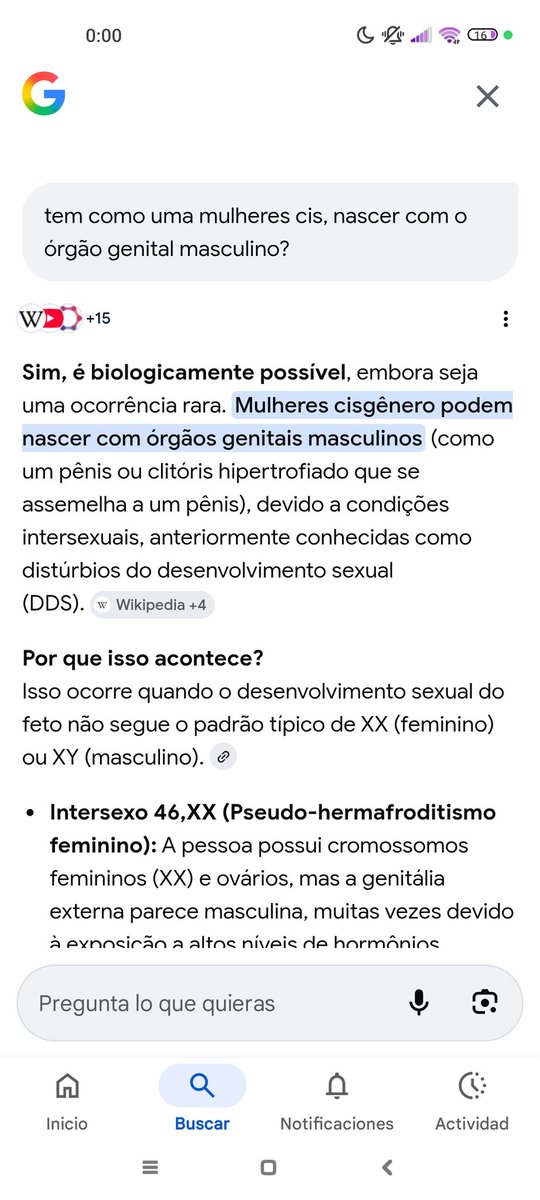 cadela fiel da kosheleva tweet media