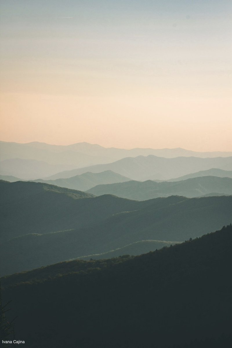 Nature Is Nonpartisan tweet media