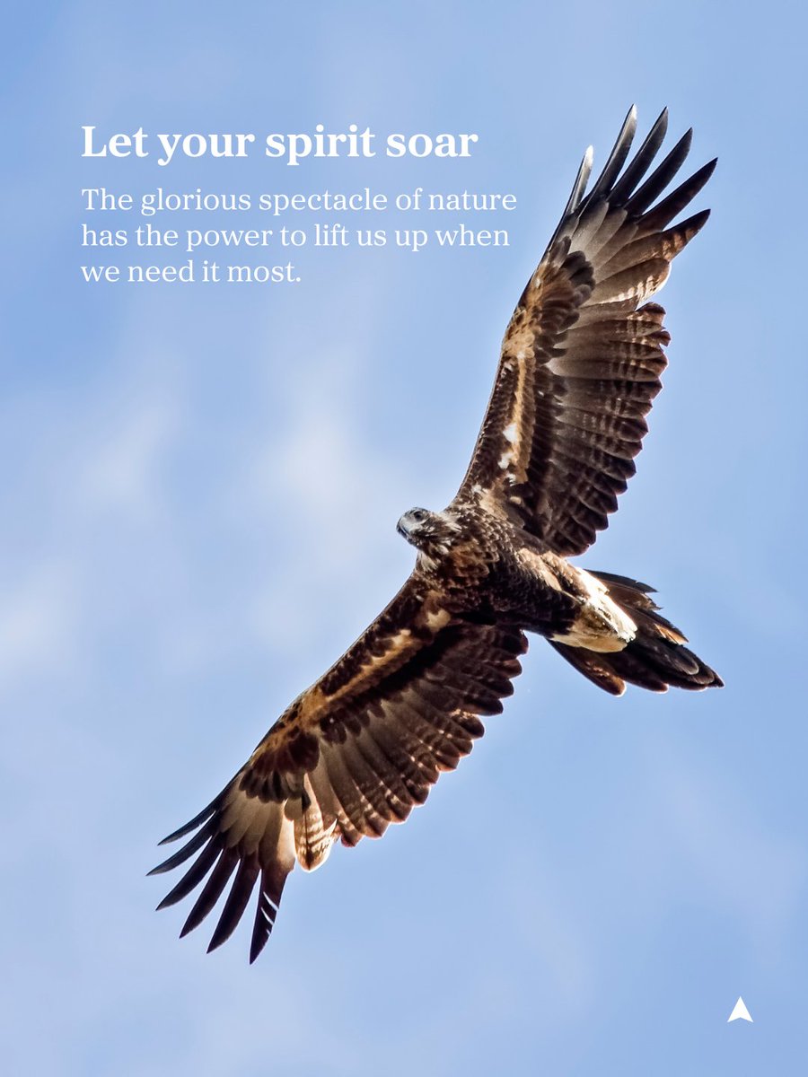 Australian Geographic tweet media