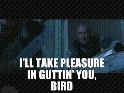 Mike Dodd 🇺🇸 tweet media