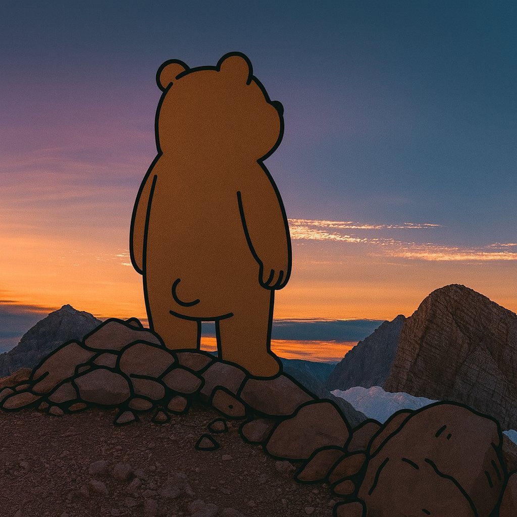 bears 🐻 tweet media