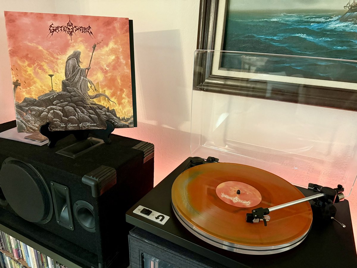 andrew//ffm tweet media