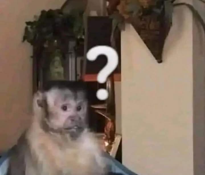 ‍‍ ‍‍ ‍‍ ‍ ‍‍ ‍‍ ‍‍ ‍ ‍‍‍‍‍𝓢 𝒆𝒓𝒂 .ᐟ sɢ ᴀᴜ tweet media