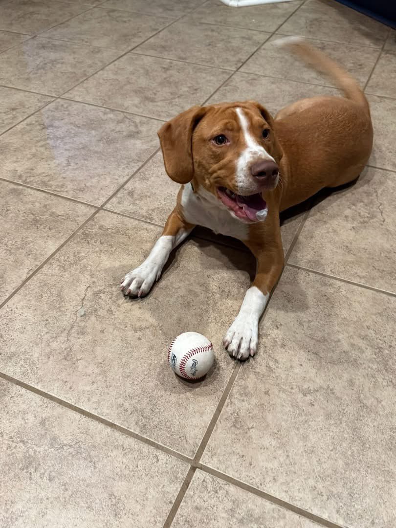 IOTBProducer tweet media