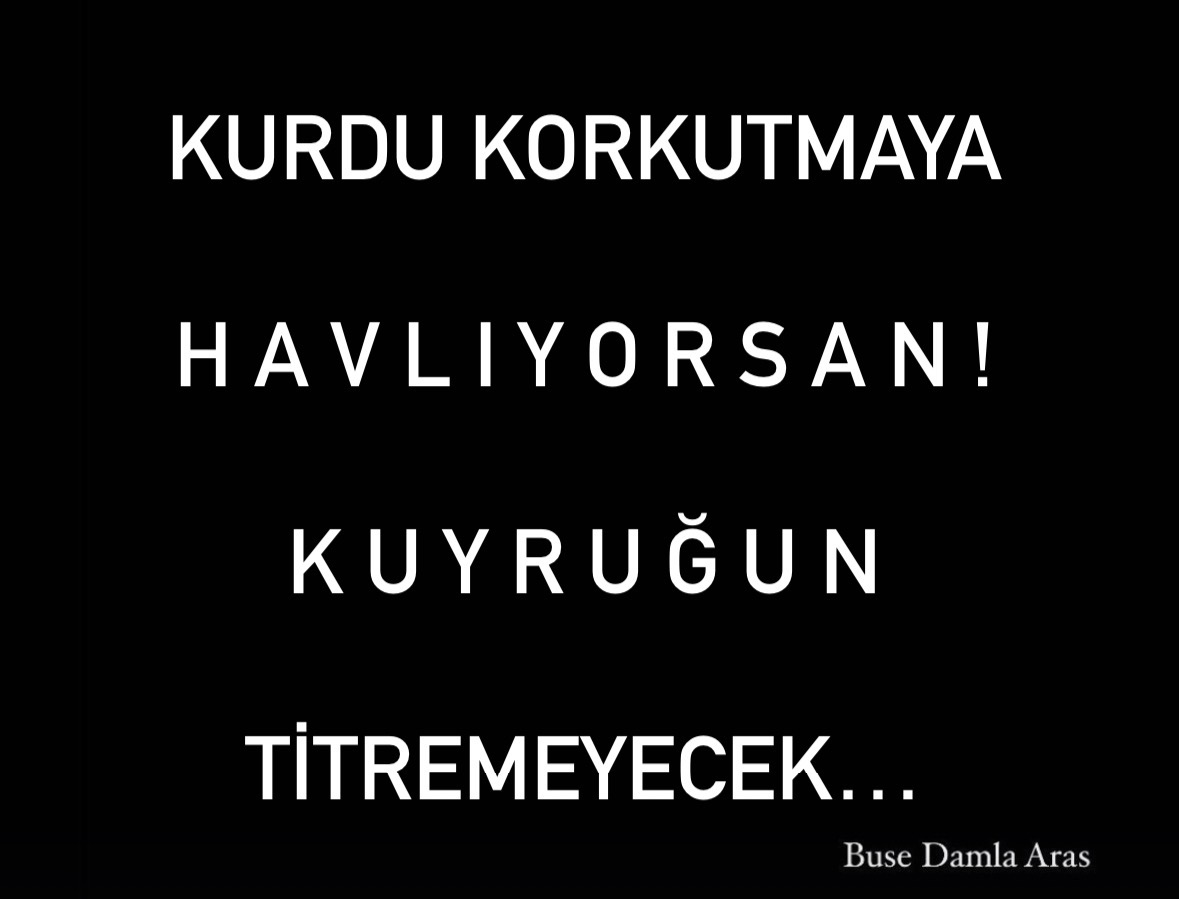 Buse Damla Aras tweet media