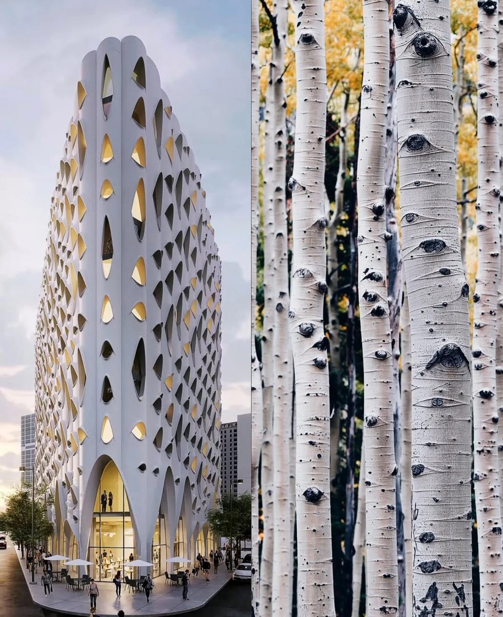 Architecture & Art tweet media