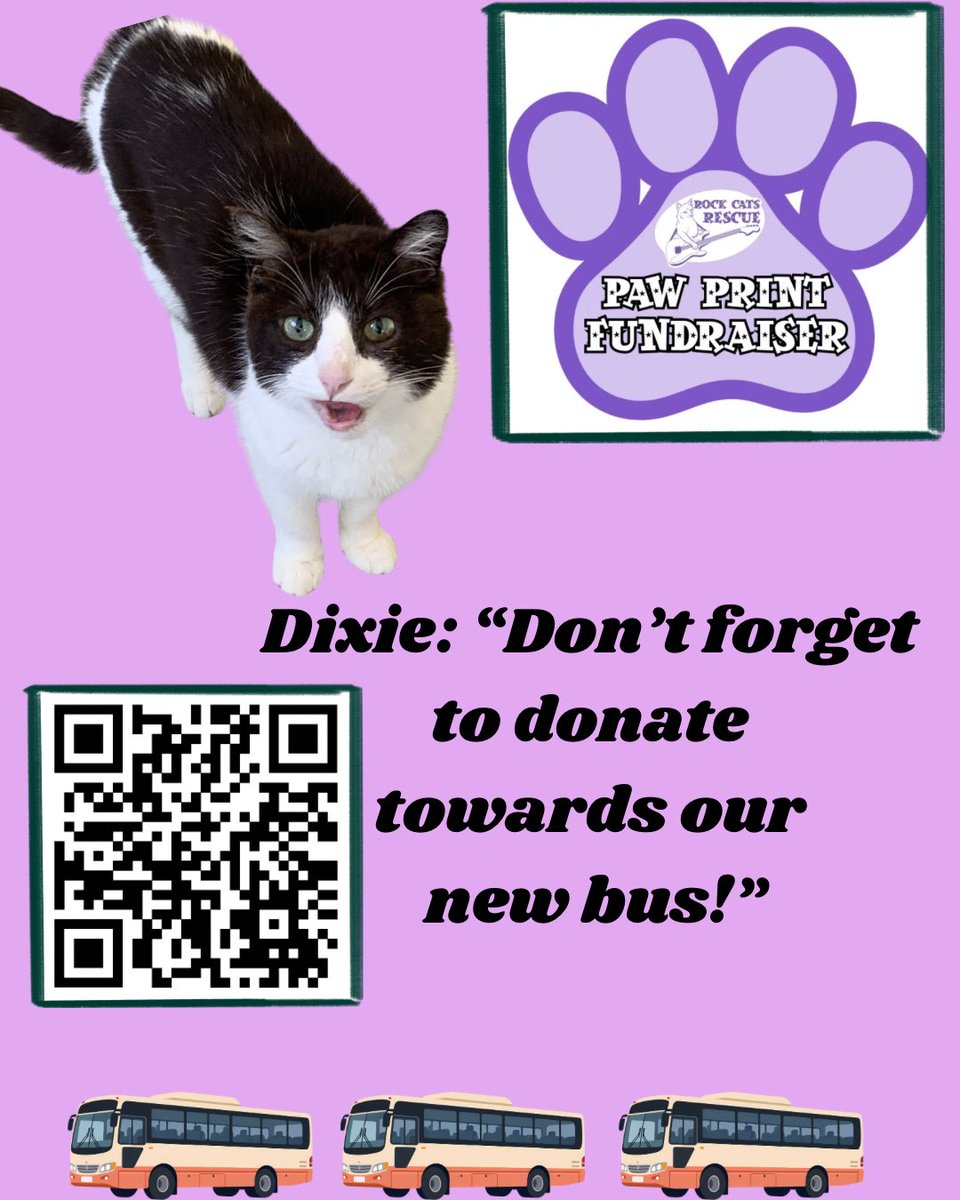 The Amazing AcroCats tweet media