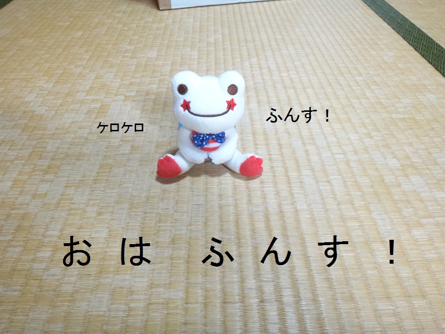 ･:＊｡😵‍💫ケロ（MAX）😵‍💫･｡:＊ tweet media