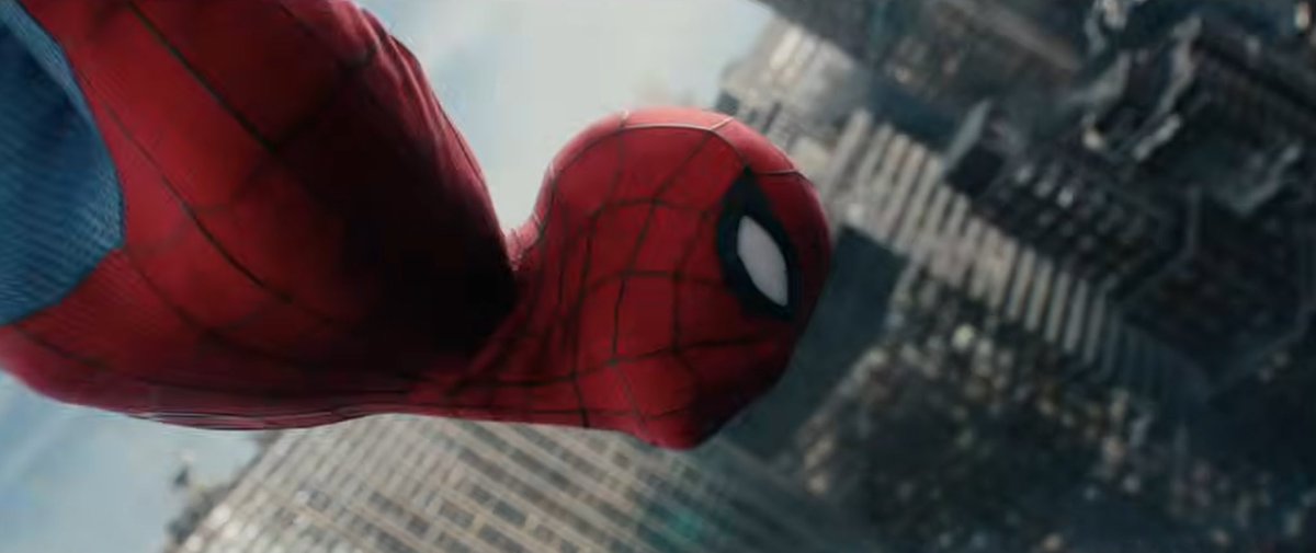 🐾 Eek 💿 tweet media