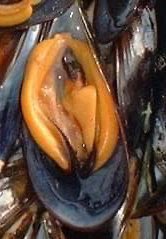 𝔻𝕦𝕤𝕥𝕝𝕒𝕟𝕕 𝔽𝕒𝕚𝕣𝕪𝕥𝕒𝕝𝕖 tweet media