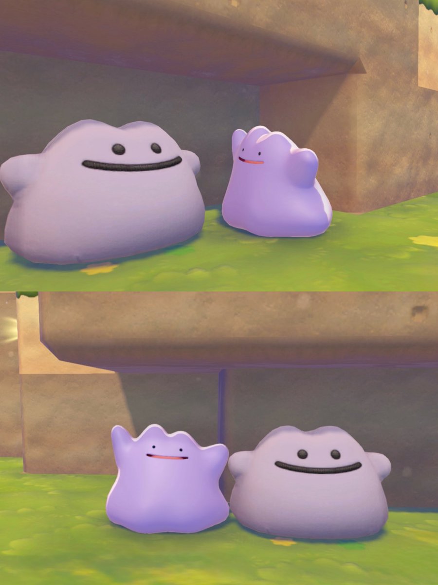 まあみとメタモン⟆͟ ˶・◡・˶ 𑁤 tweet media