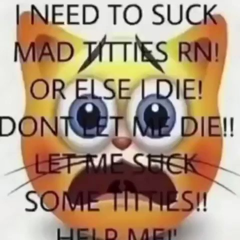 Type Moon Anything Bot ๐ต๐ธ tweet media