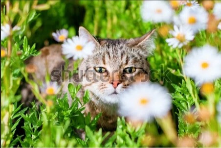 Caleb ⛰️ tweet media