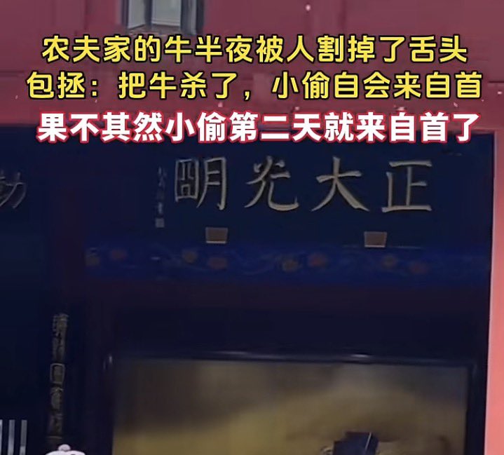 翅翅膀喵 tweet media