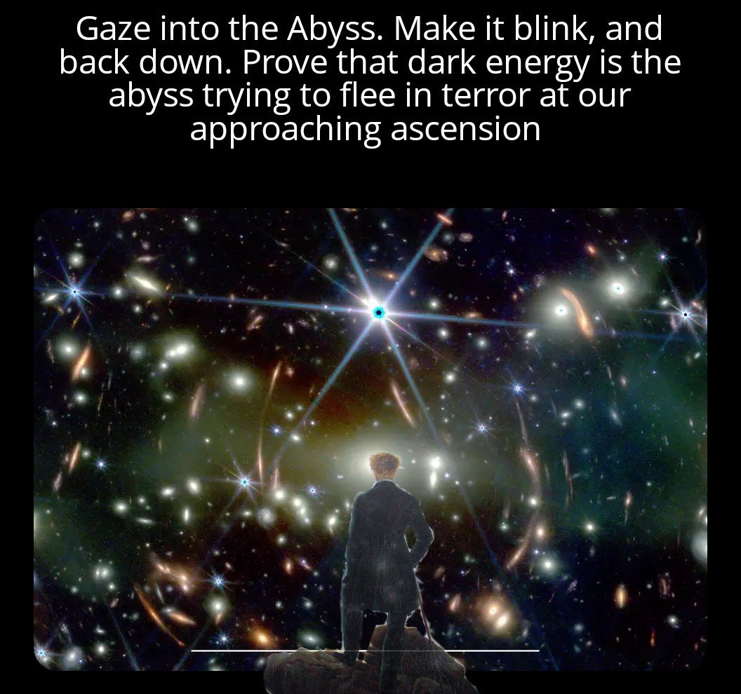 Space Koala tweet media