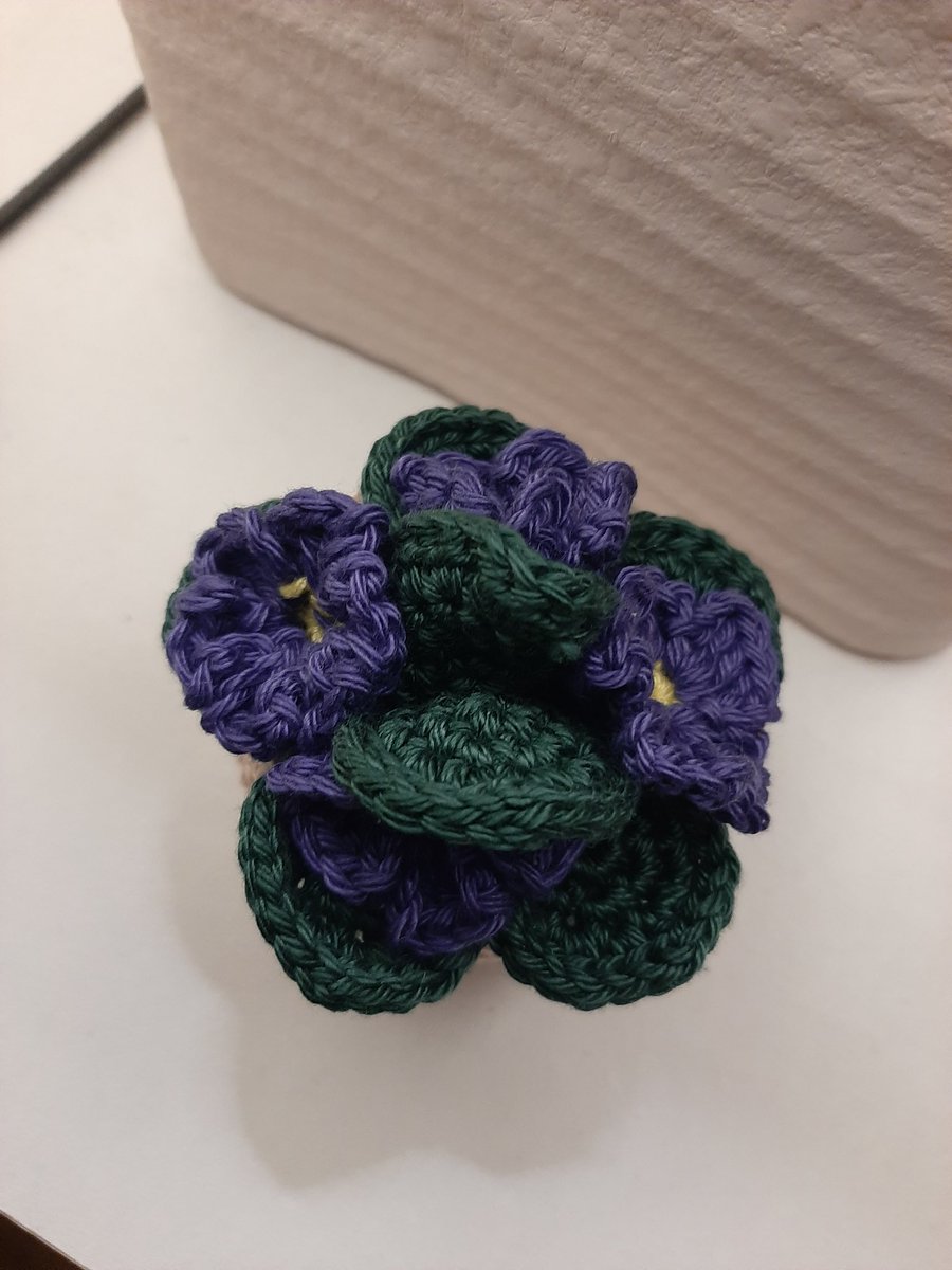 MirjamvL tweet media